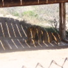 View album