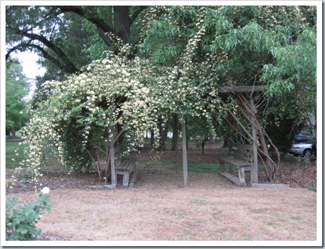 April 2010 338