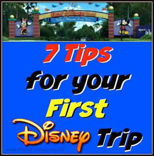 http://www.atimeforseasons.net/2016/06/first-disney-trip-10-tips-giveaway.html