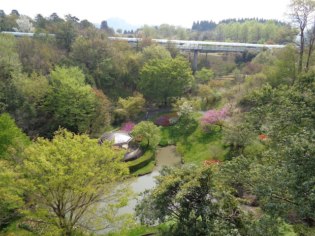 花の谷の風景