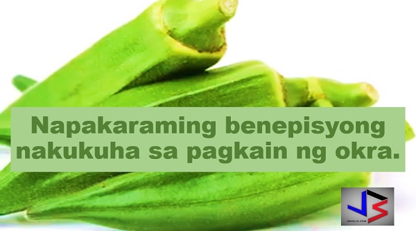  11 Reasons Why You Should Eat Okra for Good Health