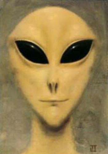Alien Faces Maybe They Are The Way They Are Because They Are