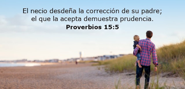  El necio desdeña la corrección de su padre; el que la acepta demuestra prudencia. 