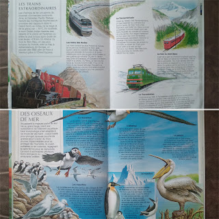 Imagerie Animale, des Editions Fleurus, une belle collection d'imagiers abordant des sujets qui passionnent les enfants, animaux, trains, chantier