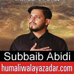 https://www.humaliwalyazadar.com/2018/09/subbaib-abidii-nohay-2019.html