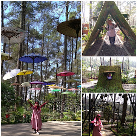 Tempat Wisata Orchid Forest Cikole Bandung 