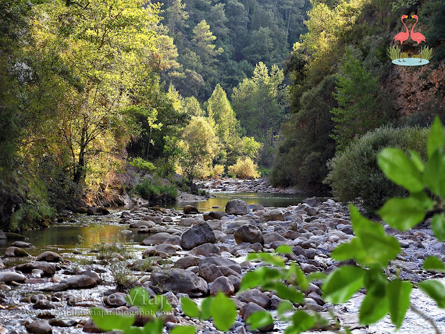 EDUCACIÓN AMBIENTAL | IMPORTANCIA EN 2021