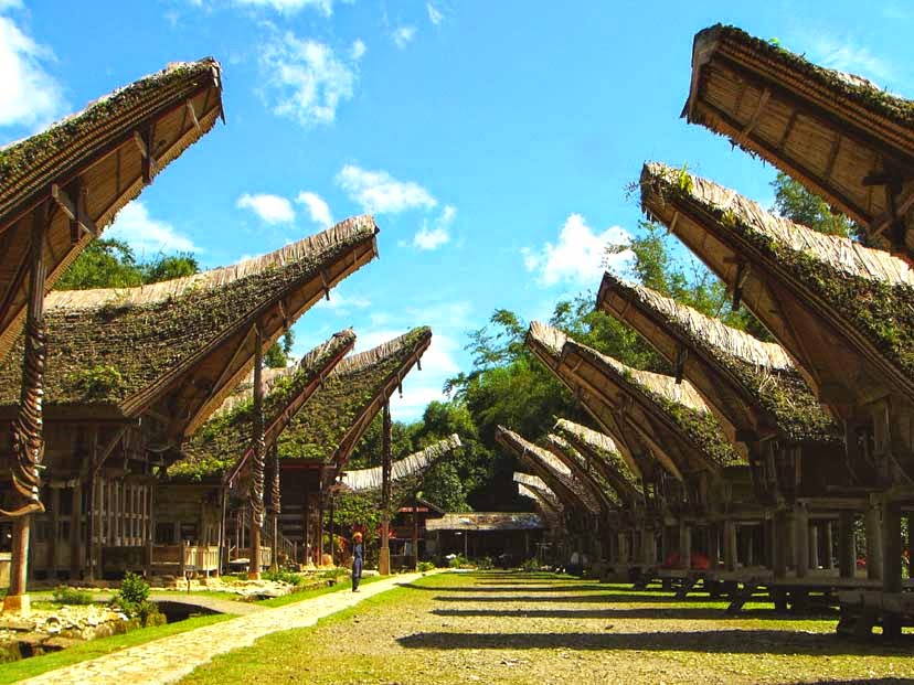 Tempat Wisata di Tana Toraja yang Menarik untuk di 