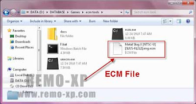 [Image: ecm%2Bfile.jpg]