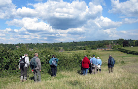 Looking at a hedgerow near Well Wood. The village of Nash is visible to the far left. 11 June 2011.