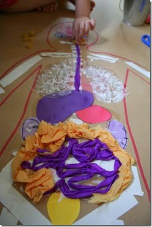 Life Size Body Map Anatomy for Kids from Pink and Green Mama
