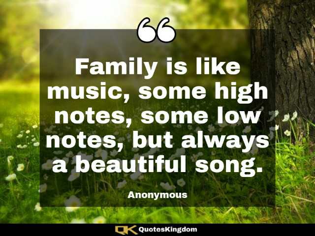 Beautiful family quote. Family thought. Family is like music, some high notes, some low notes ...