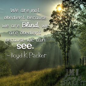 We are not obedient because we are blind, we are obedient because we can see. - Boyd K. Packer