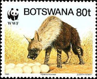 Hyaena brunnea