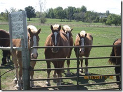 IMG_0020 IMG_0020