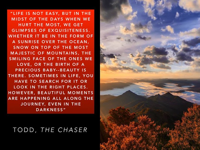 Find Beauty in the Darkness (The Chaser Bible Study Companion Part 4)