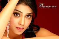 Shriya Saran spicy picture with Diamond & Gold Jewellery