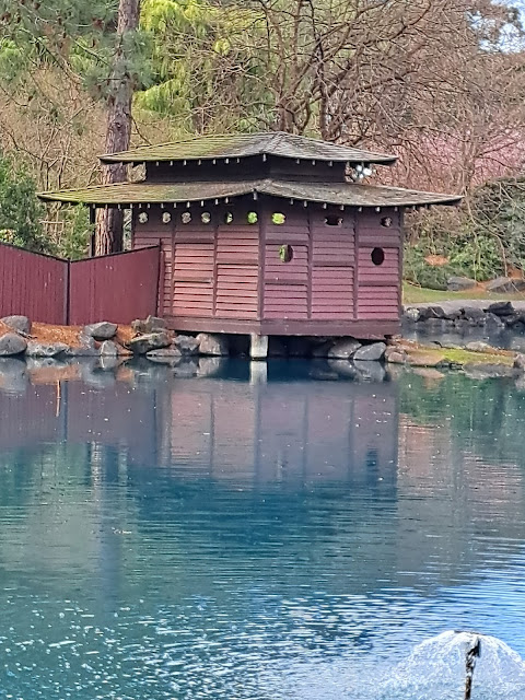 FOLLOWING CHERRY BLOSSOM TRAIL IN AUBURN BOTANIC GARDENS