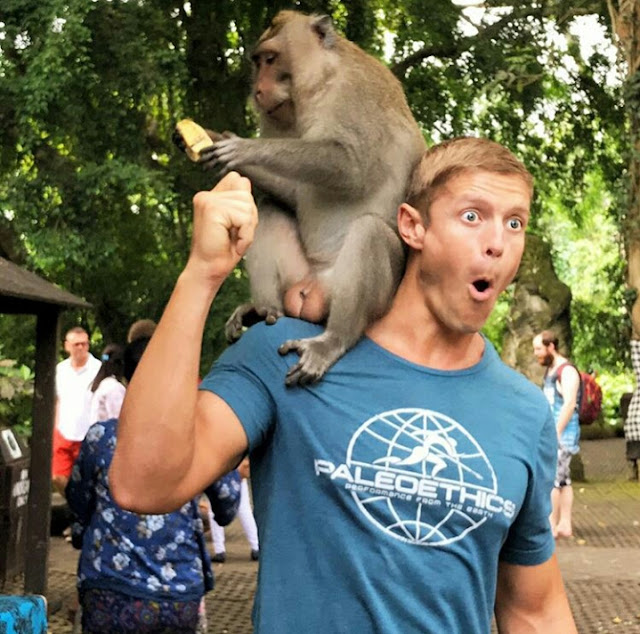 Monkey Forest Ubud Bali