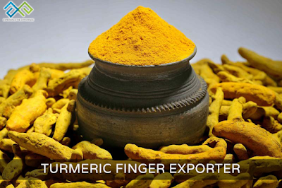 Turmeric Finger Exporter