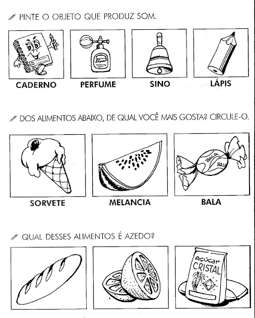 Atividades de ciências os cinco sentidos