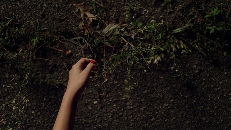 It Follows 2015 latino 1080p