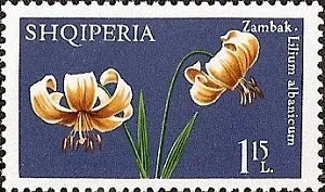 Марка с изображением лилии албанской