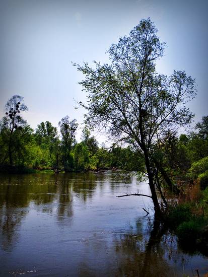 Dołhobrody