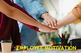 Shocking Truths About How to Motivate Employees