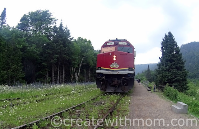 Agawa Canyon Tour Train