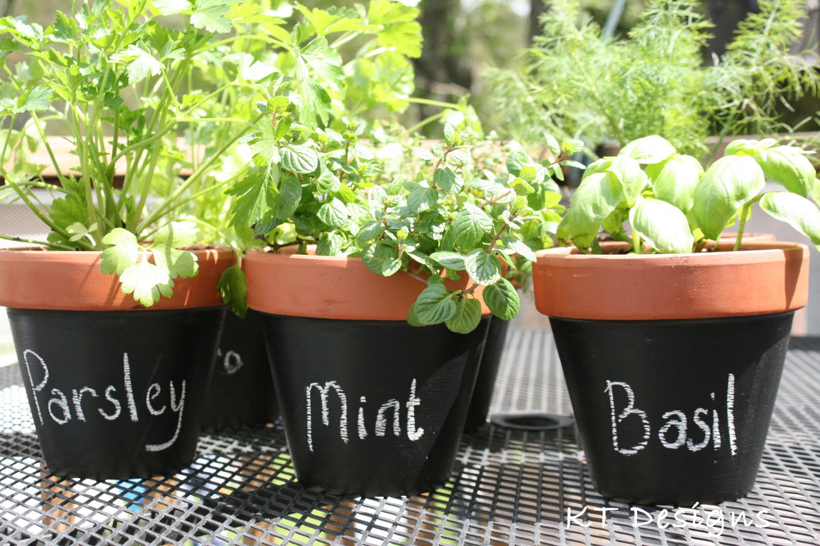 KT Designs: {Tutorial} Terracotta, Chalkboard Paint, and Herbs