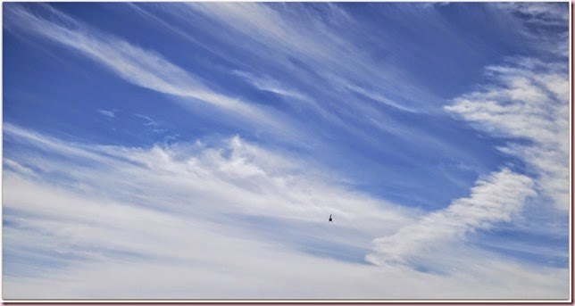 heliIMG_9386