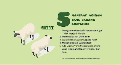 Jasa Layanan Paket Kambing Aqiqah Di Citeureup Puspanegara Free Ongkir COD