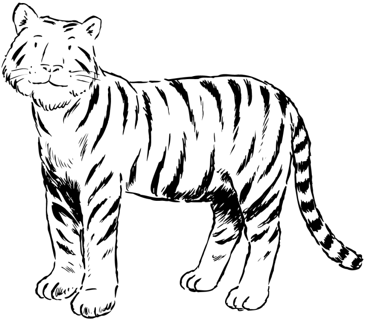 tiger coloring pages, kids coloring pages title=