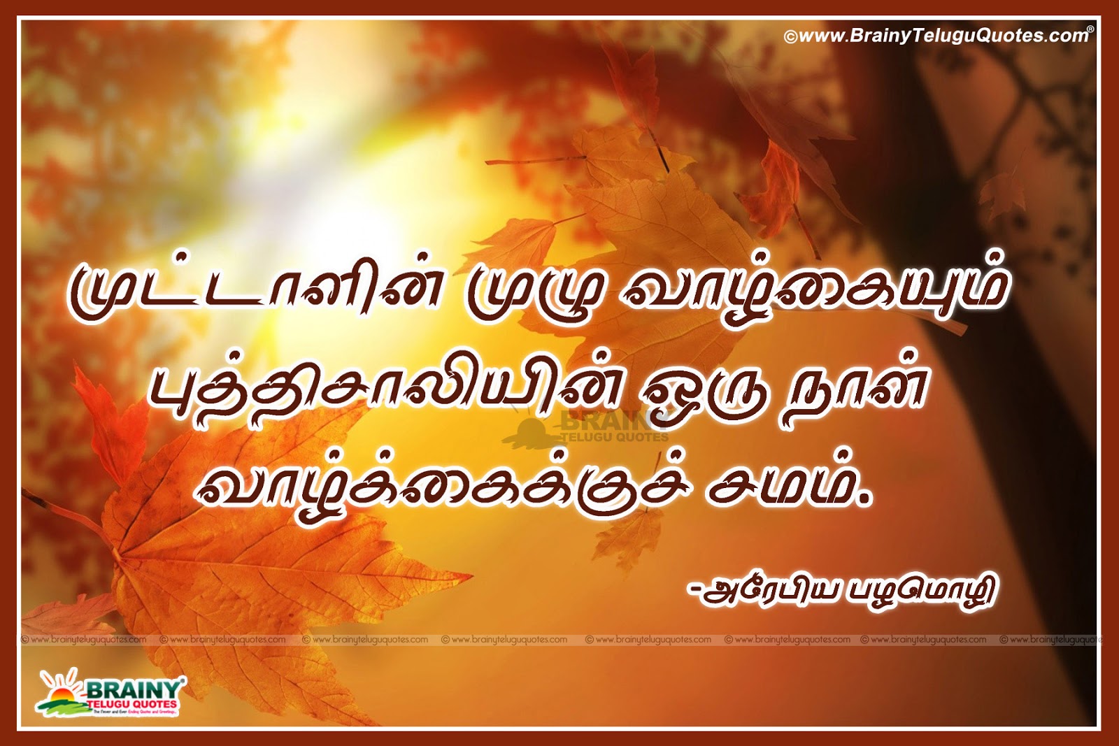 Daily Great inspiring and Motivated Lines Quotes and Kavithai HD