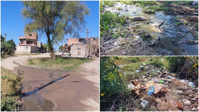 Líquidos cloacales, basural y malezas: Problemáticas sin solución en barrio Güemes