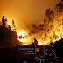  Πορτογαλία: Μεγάλη πυρκαγιά - Κάηκε τεράστια δασική έκταση