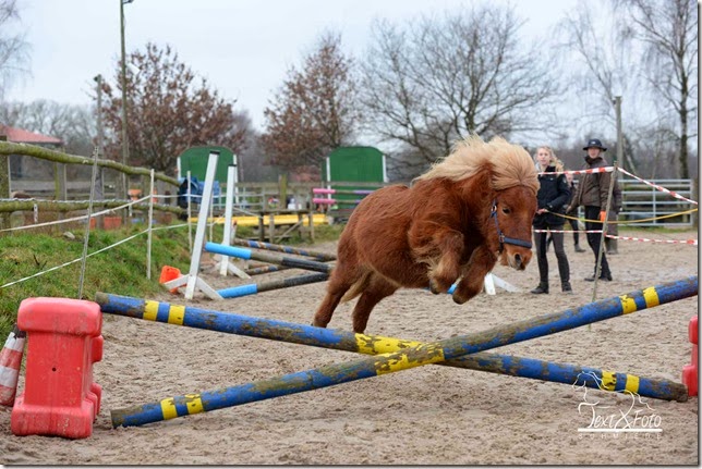 kd_ponysch_freispringen04 kd_ponysch_freispringen04