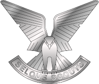 Selous Scouts badge