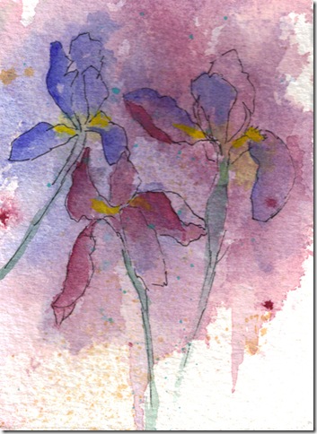Iris Garden  watercolor painting