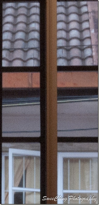 P1150302_GF1