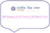 MPBSE HSSC Result 2024 @ mpresults.nic.in पर Merit List MP Board 12th Result 2024 को ऐसे चेक करें