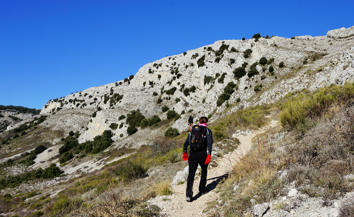 Trail to Plateau de Cavillore