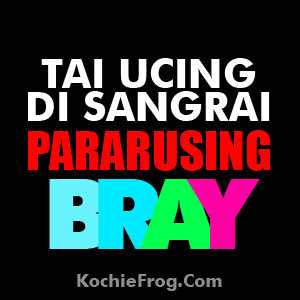 Gambar DP BBM Kata Kata Bahasa Sunda Bergerak Kochie Frog