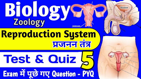 Reproduction System प्रजनन प्रणाली Quiz & Test #5