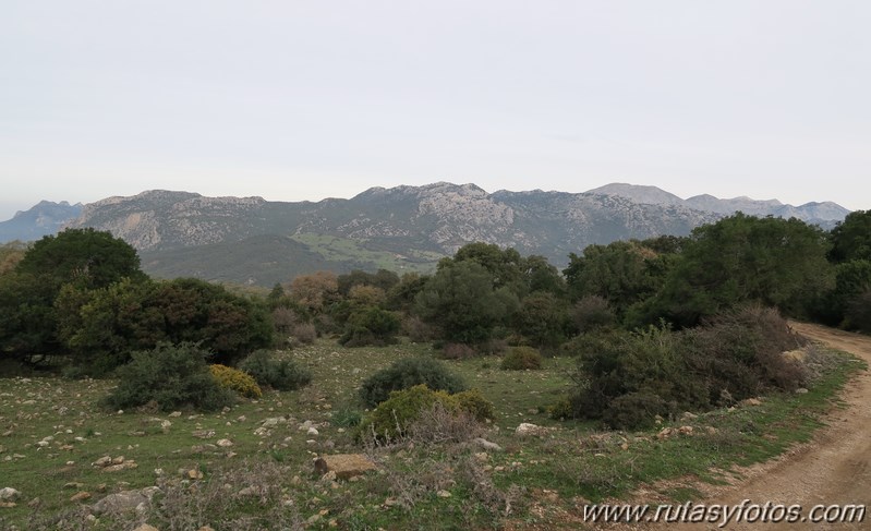 Sierra de los Pinos por las Pulgas