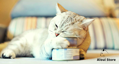 Nutritional tips for older cats