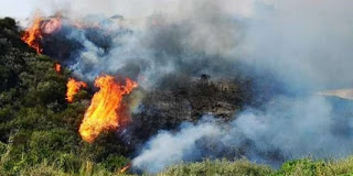 Δεν κινδυνεύουν κατοικημένες περιοχές στην Ηλεία - Οριοθετήθηκε το πύρινο μέτωπο