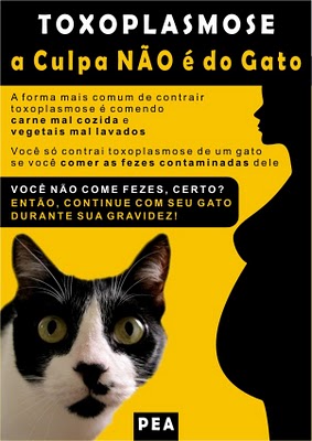 TOXOPLASMOSE: Clique no cartaz e leia.