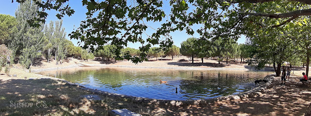 Estanque del Parque Forestal de Vicálvaro